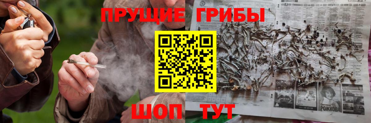 Псилоцибиновые грибы Magic Shrooms Карталы